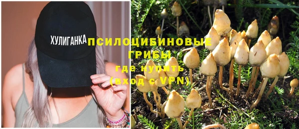 соль ск Балабаново