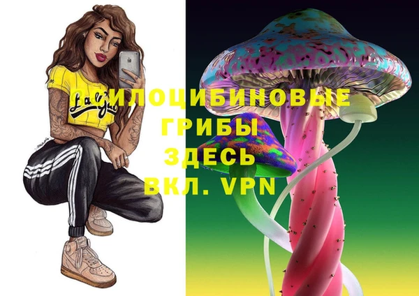дживик Осинники