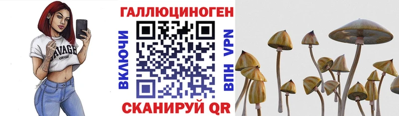 даркнет сайт  Усть-Джегута  Галлюциногенные грибы GOLDEN TEACHER 