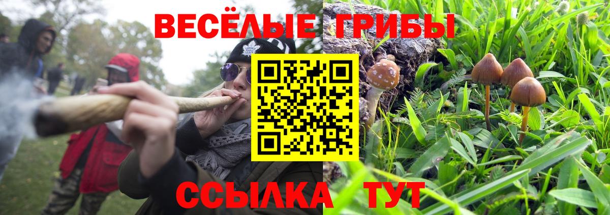 Галлюциногенные грибы мухоморы  Вход с VPN  Усть-Джегута 